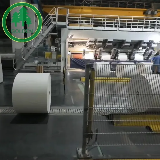 Food Safe Coated Duplex Board 